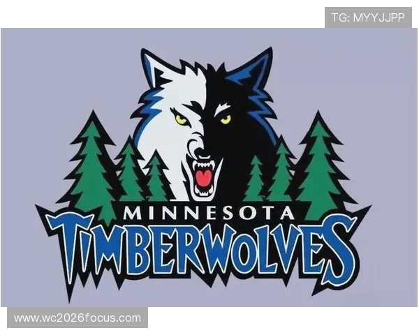 围绕森林狼俱乐部崛起之路与未来发展潜力的全面解析与展望